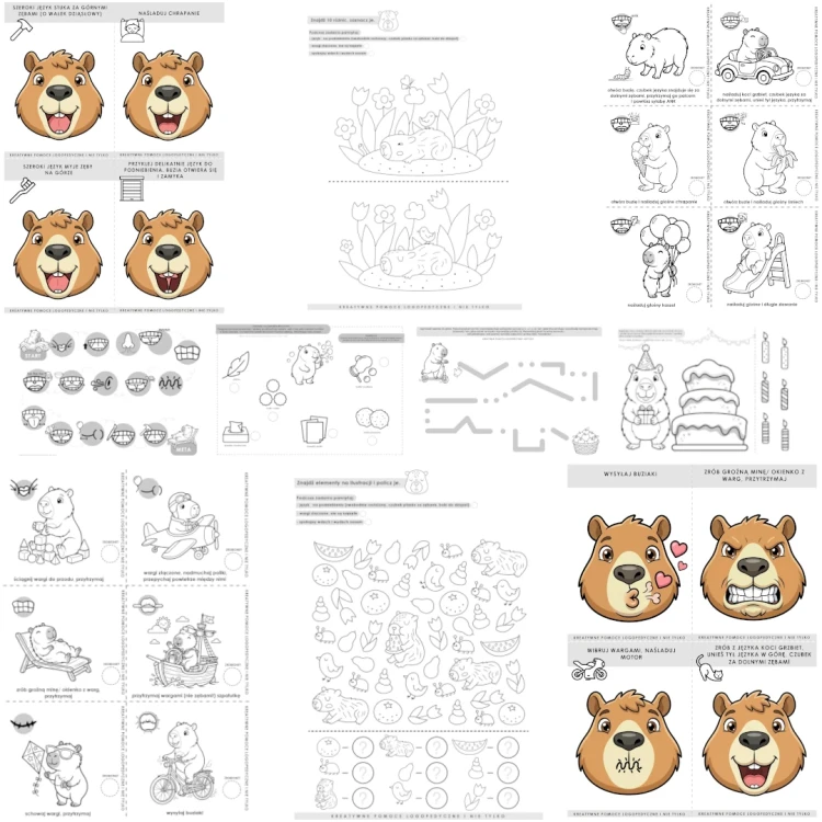 REKLAMA sklep zestaw KAPIBARY.webp